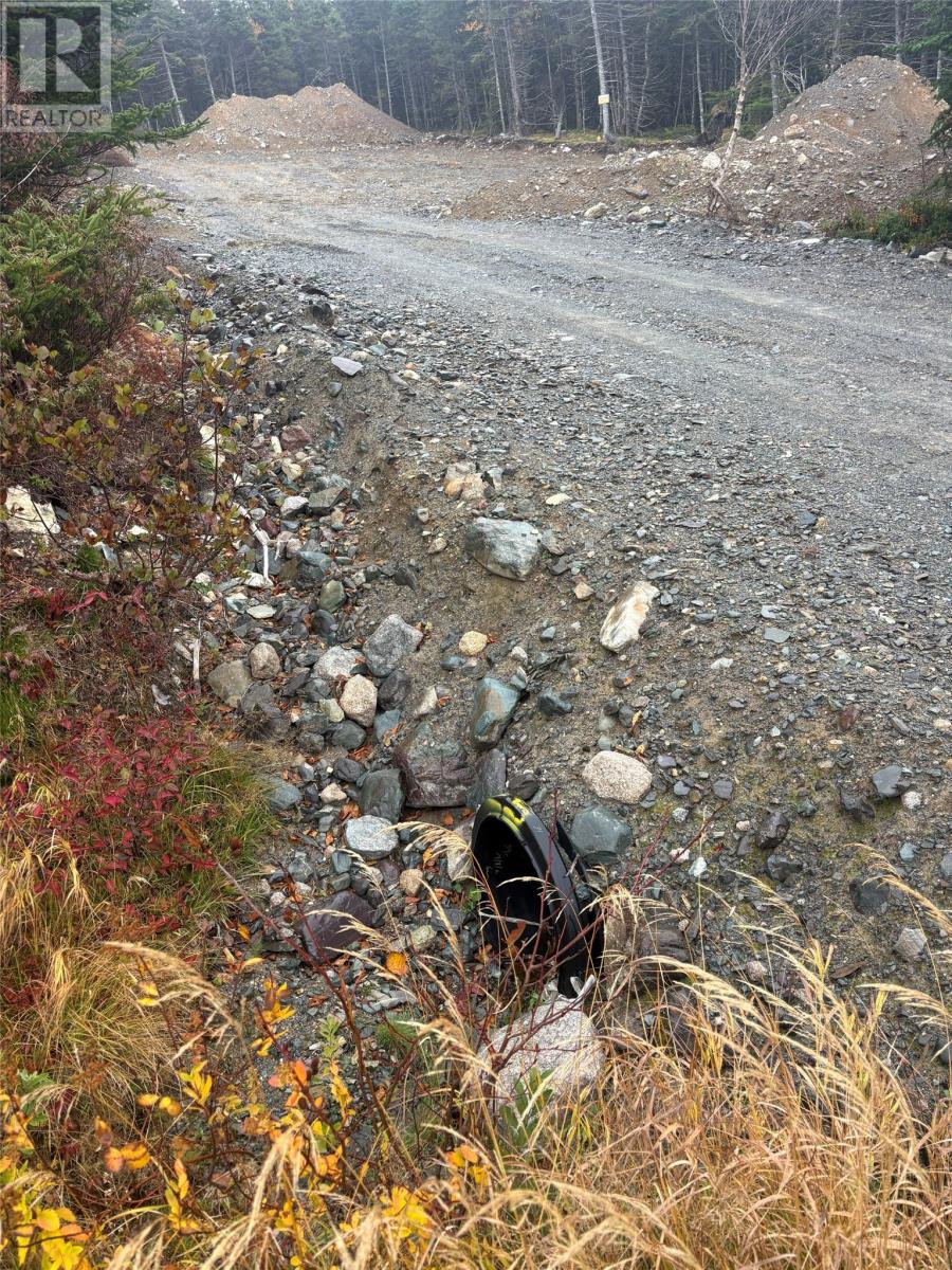 95-97 Deans Road, Witless Bay, Newfoundland & Labrador  A0A 4K0 - Photo 3 - 1292411