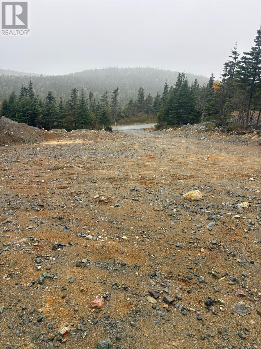 95-97 Deans Road, Witless Bay, Newfoundland & Labrador  A0A 4K0 - Photo 4 - 1292411