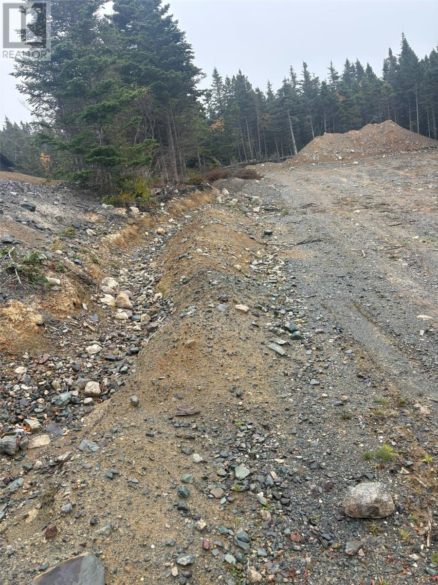 95-97 Deans Road, Witless Bay, Newfoundland & Labrador  A0A 4K0 - Photo 6 - 1292411