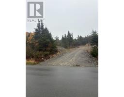 95-97 Deans Road, Witless Bay, Newfoundland & Labrador