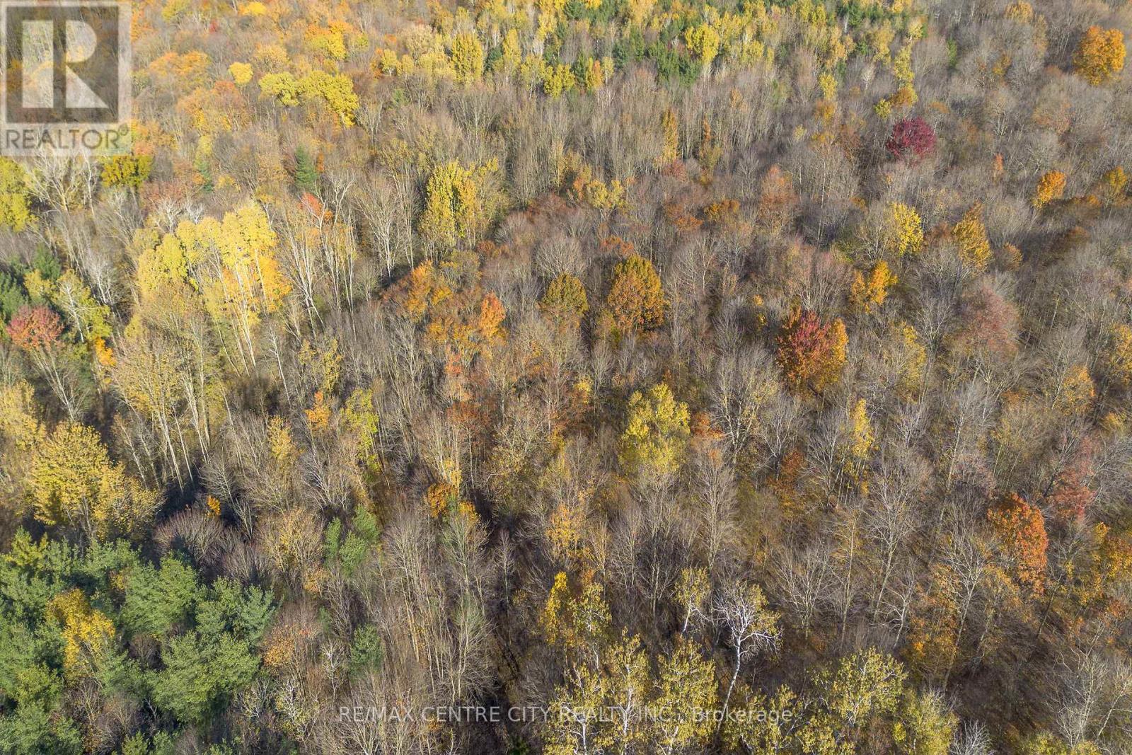 Pt Lt 140&141 Col Talbot Road, Norfolk, Ontario  N4G 4G9 - Photo 17 - X12520566