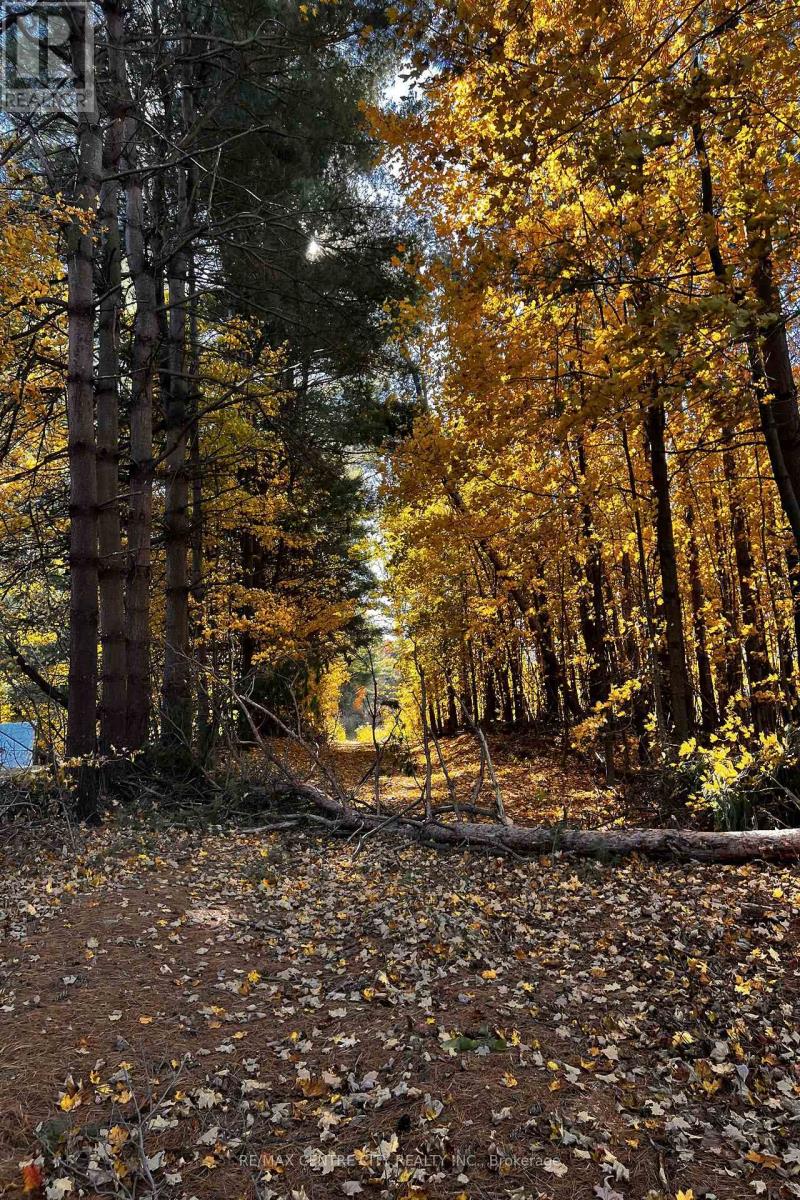 Pt Lt 140&141 Col Talbot Road, Norfolk, Ontario  N4G 4G9 - Photo 27 - X12520566