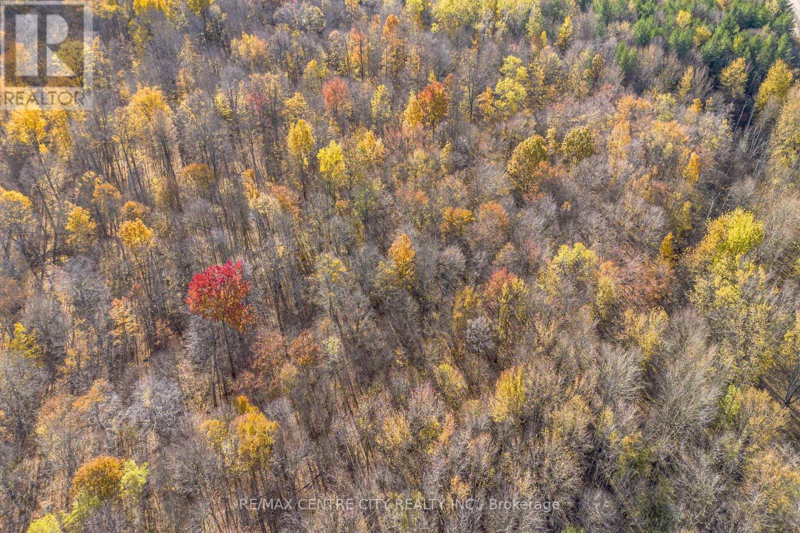 Pt Lt 140&141 Col Talbot Road, Norfolk, Ontario  N4G 4G9 - Photo 25 - X12520568