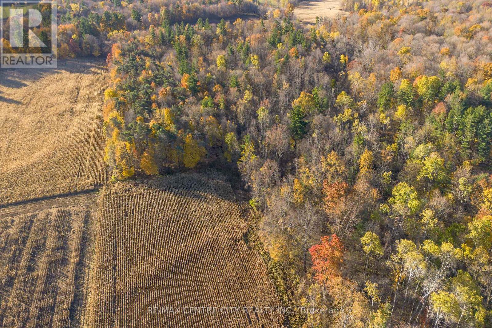 8916 Coyle Road, Bayham, Ontario  N4G 4G9 - Photo 12 - X12520572