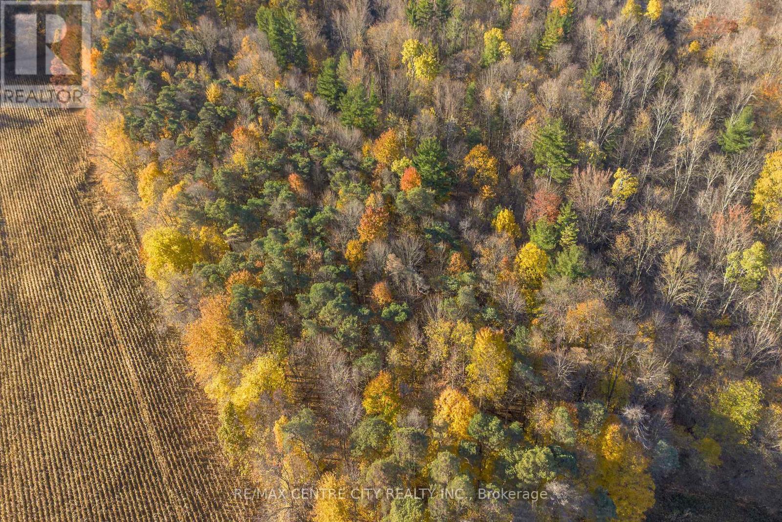 8916 Coyle Road, Bayham, Ontario  N4G 4G9 - Photo 14 - X12520572