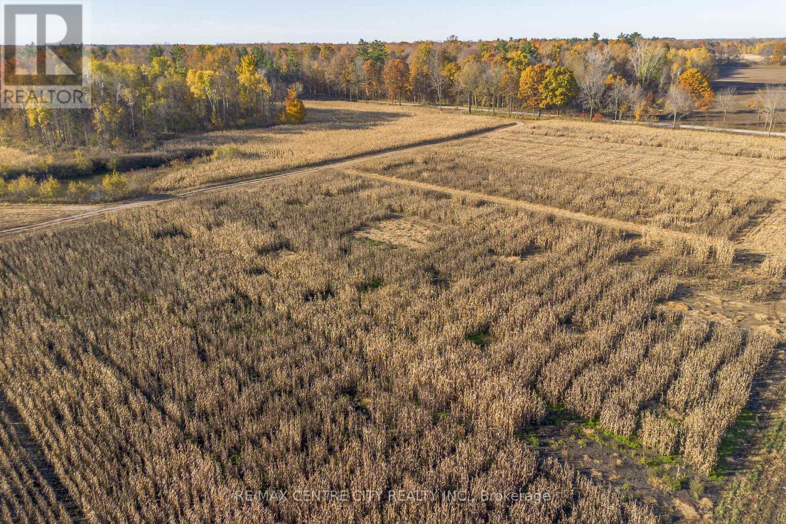 8916 Coyle Road, Bayham, Ontario  N4G 4G9 - Photo 22 - X12520572