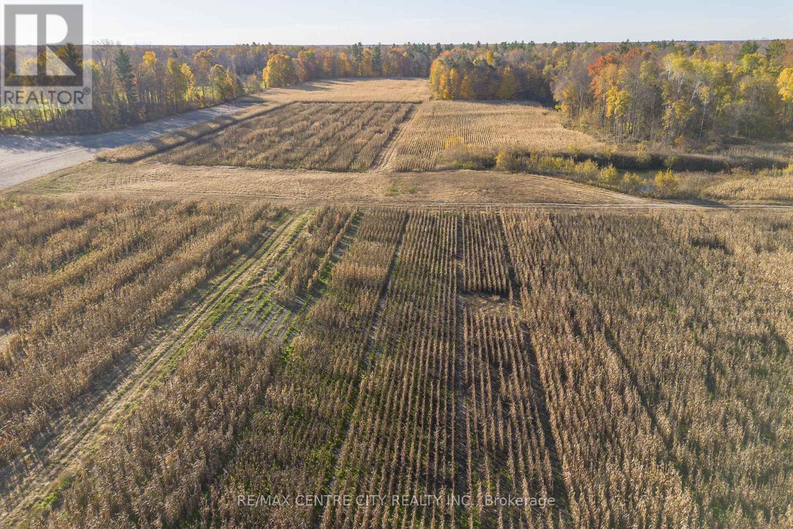 8916 Coyle Road, Bayham, Ontario  N4G 4G9 - Photo 23 - X12520572