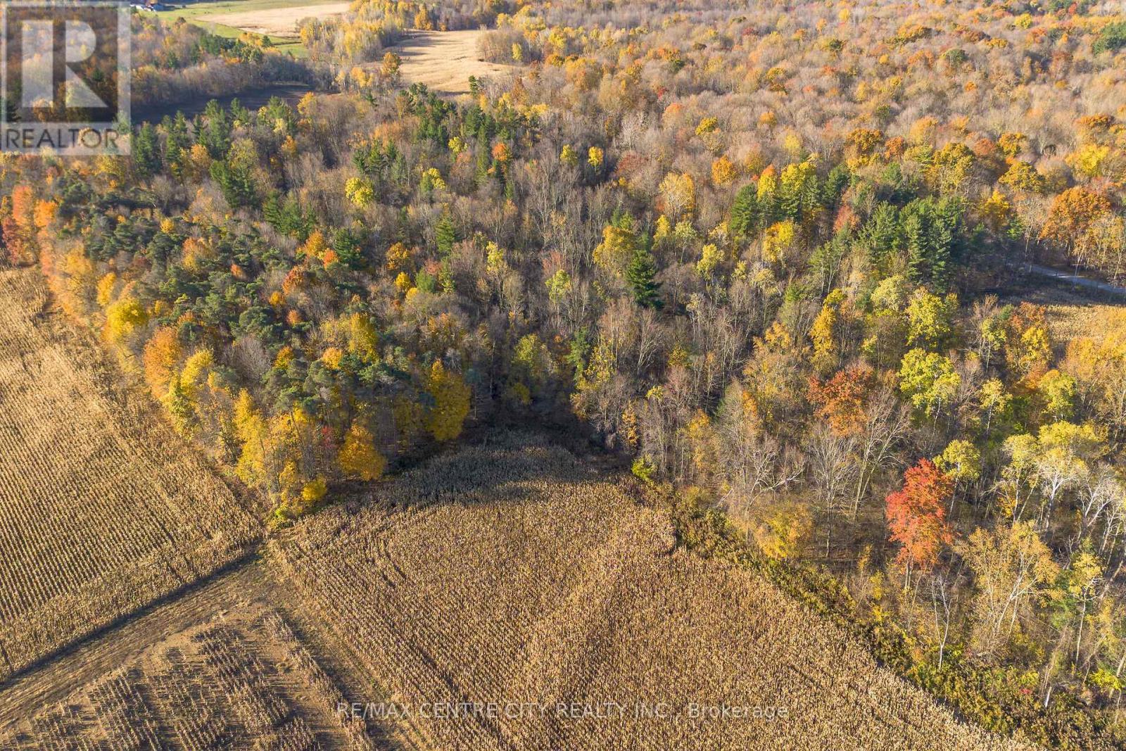 8916 Coyle Road, Bayham, Ontario  N4G 4G9 - Photo 13 - X12520574