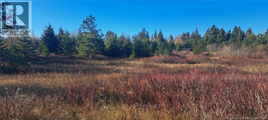 1.3 Acres Route 113, Miscou, New Brunswick  E8T 1C7 - Photo 1 - NB129299