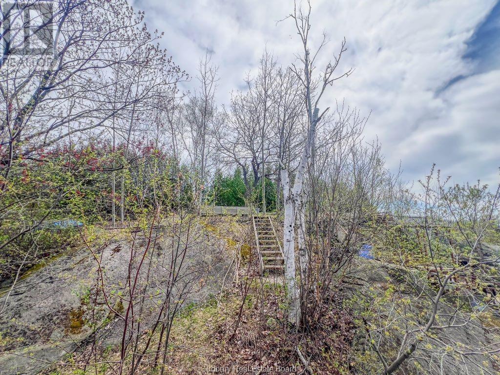 295 Van Horne Street, Sudbury, Ontario P3B 1J1 - Photo 30 - 2125558