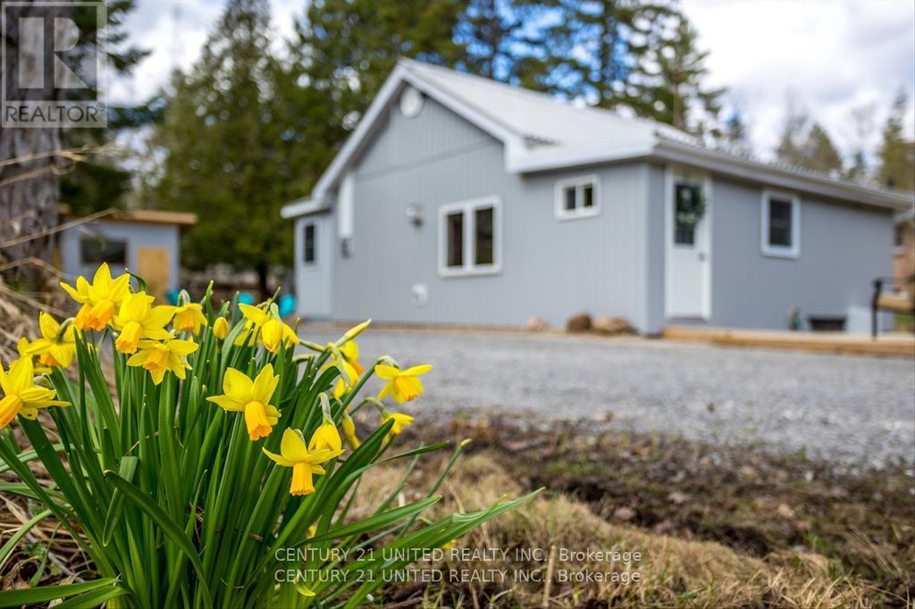 8186 Highway 28, North Kawartha, Ontario  K0L 1A0 - Photo 3 - X12520812