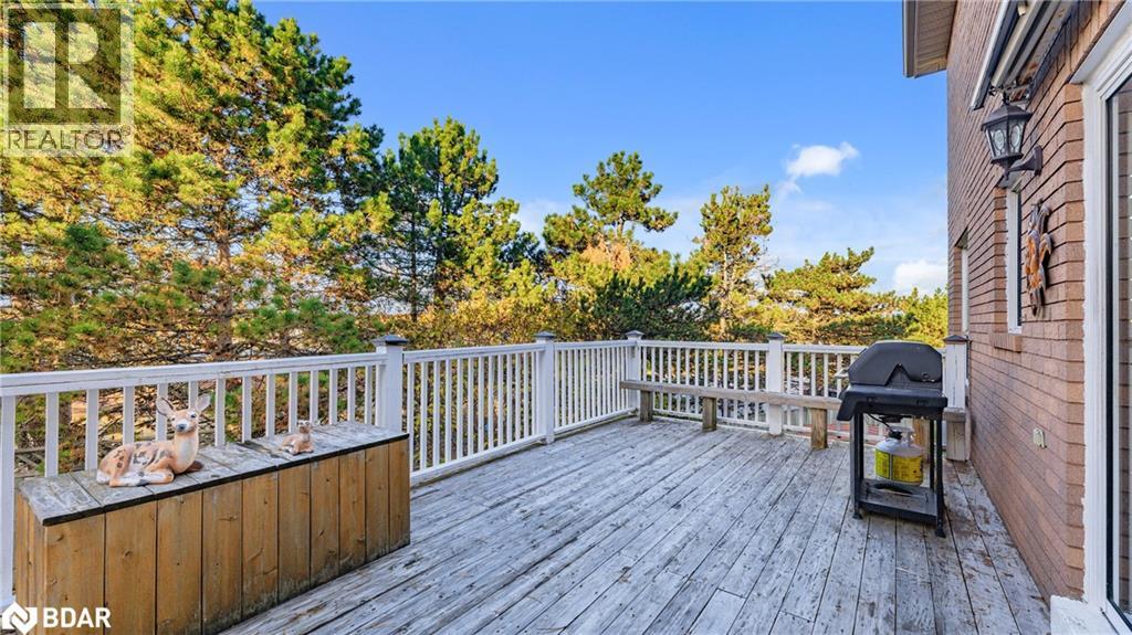 4 Trillium Crescent, Barrie, Ontario L4N 5P5 - Photo 46 - 40784778