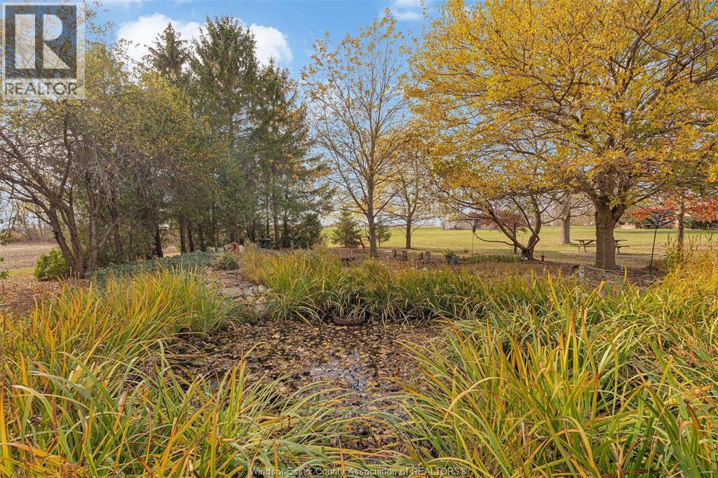 527 County Rd 42, Lakeshore, Ontario N8N 2L9 - Photo 8 - 25028291