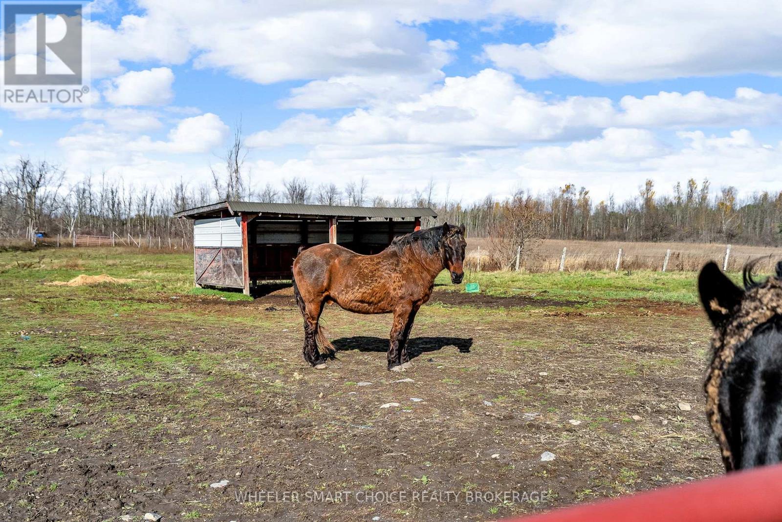 17637 Island Road E, South Stormont, Ontario K0C 1S0 - Photo 36 - X12521038