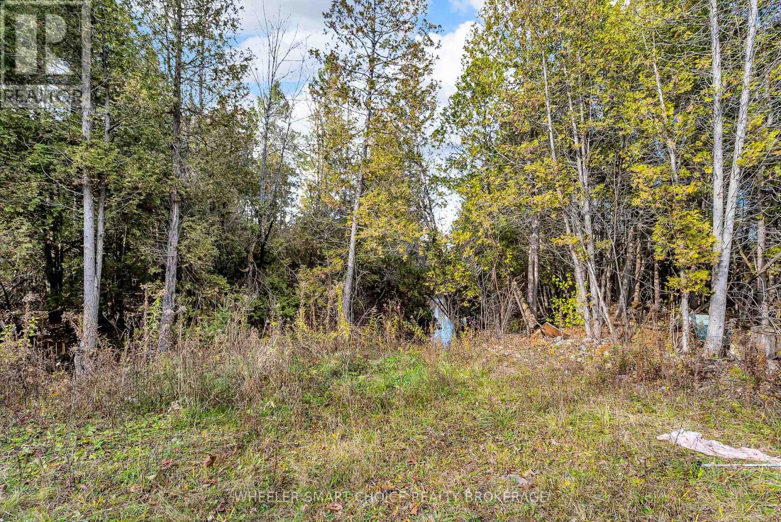 17637 Island Road E, South Stormont, Ontario K0C 1S0 - Photo 43 - X12521038