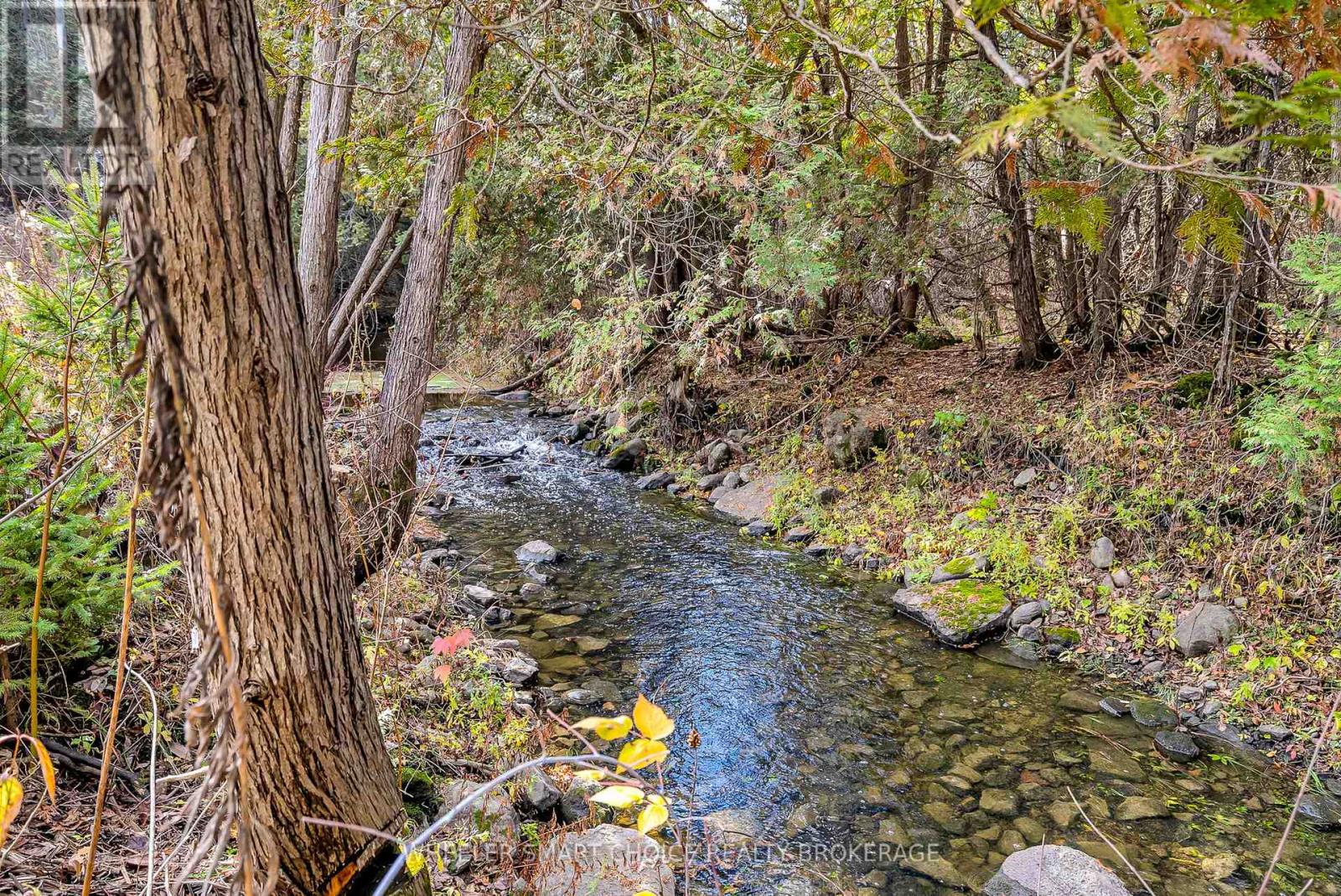 17637 Island Road E, South Stormont, Ontario K0C 1S0 - Photo 44 - X12521038