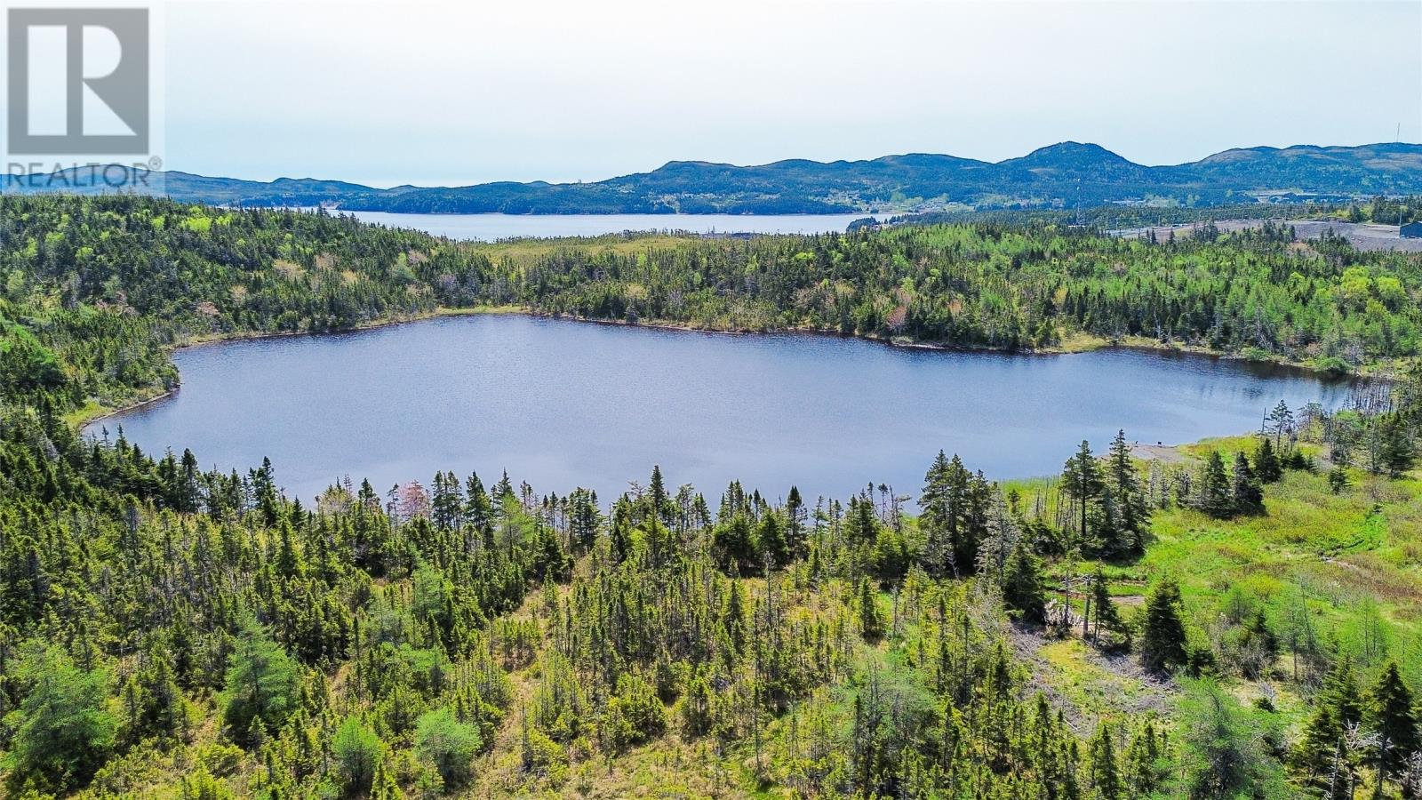 12 Atlantic Street, Marystown, Newfoundland & Labrador  A0E 2M0 - Photo 4 - 1292415