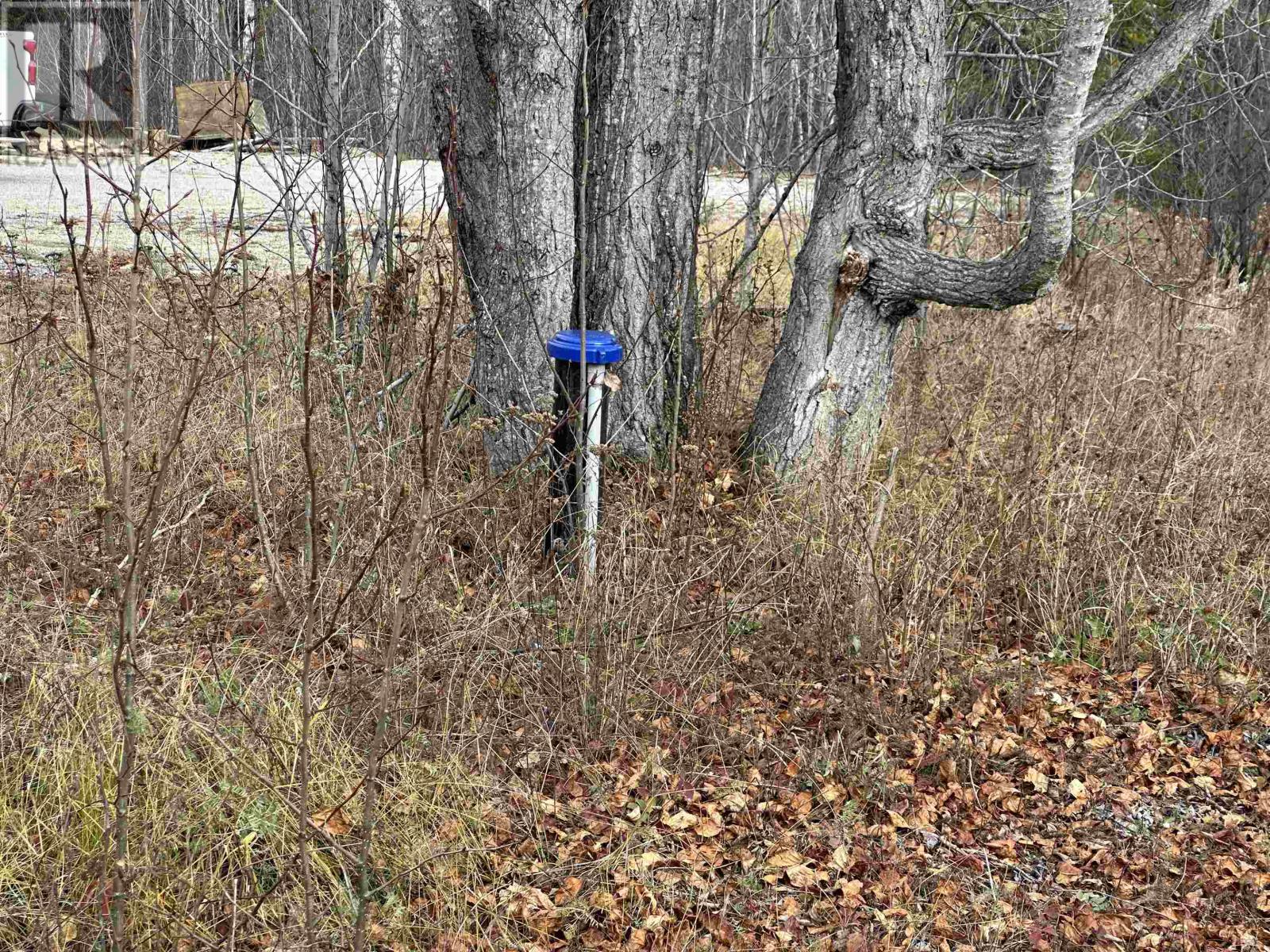 5 Northern Cres, Armstrong Station, Ontario P0T 1A0 - Photo 41 - TB253398