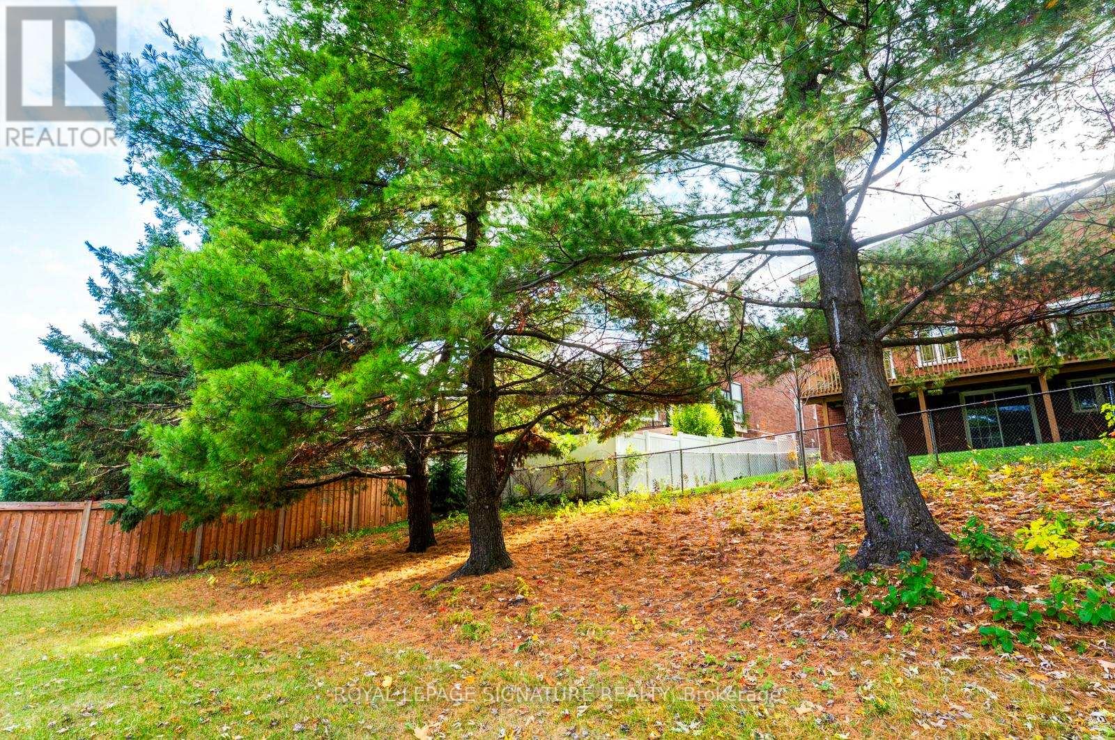 99 Bethpage Crescent, Newmarket, Ontario  L3X 1B8 - Photo 43 - N12520828