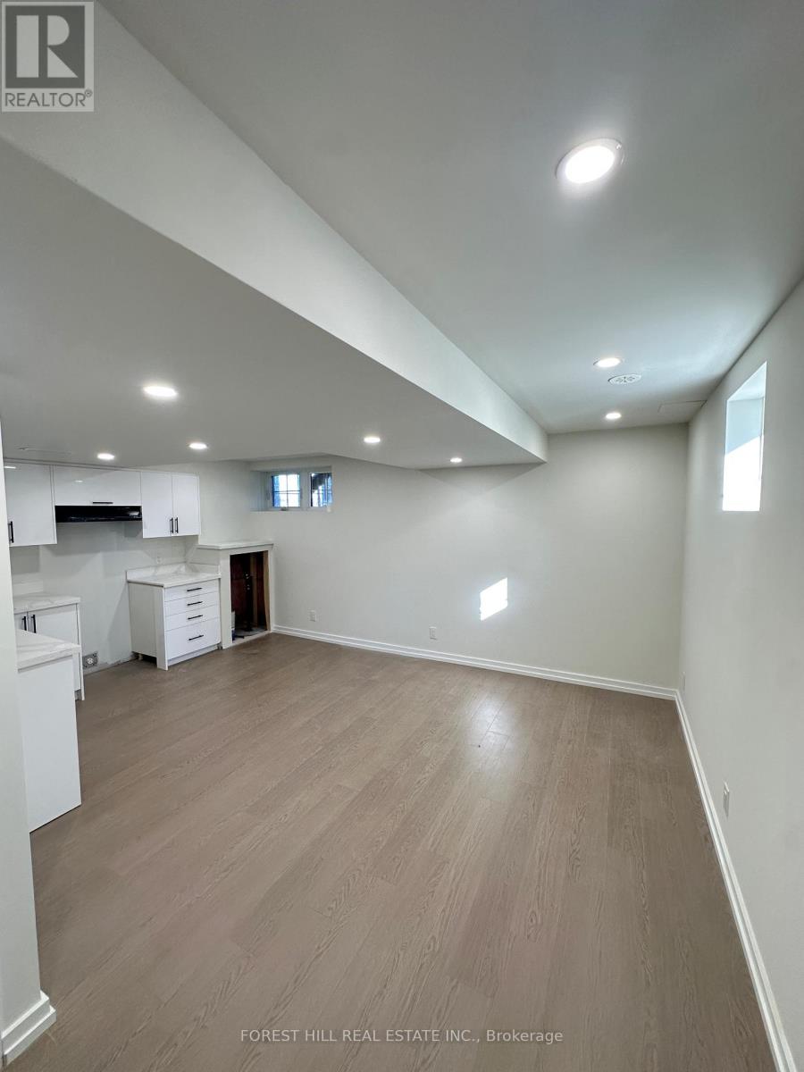 Bsmt - 58 Arbour Green Crescent, Vaughan, Ontario  L4H 4V2 - Photo 6 - N12520836