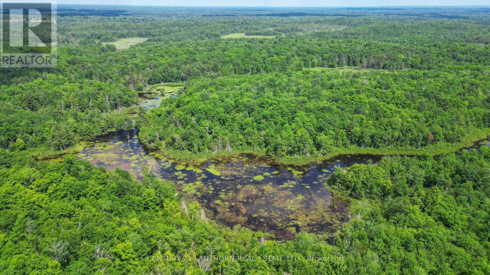 932 Hunt Club Road, Madoc, Ontario  K0K 2K0 - Photo 44 - X12520944