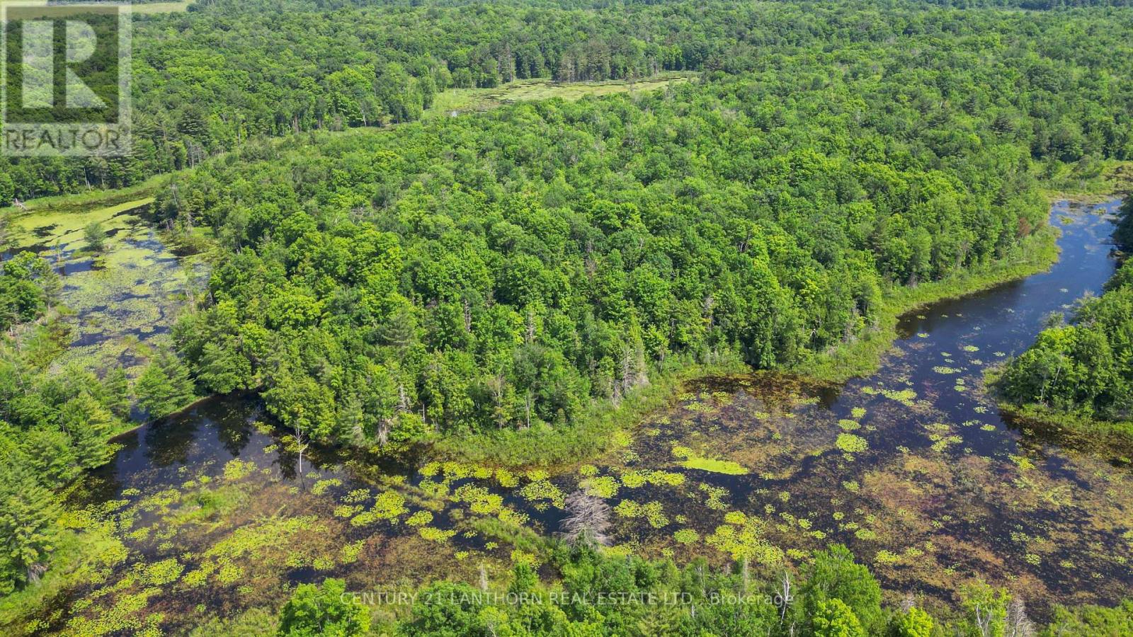 932 Hunt Club Road, Madoc, Ontario  K0K 2K0 - Photo 45 - X12520944