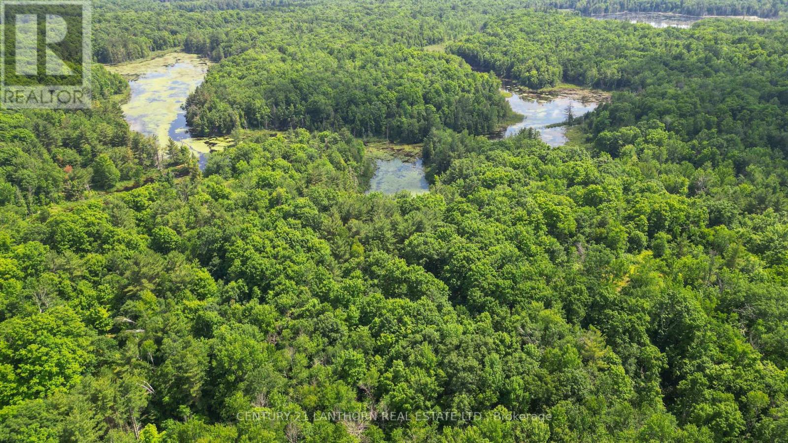 932 Hunt Club Road, Madoc, Ontario  K0K 2K0 - Photo 48 - X12520944