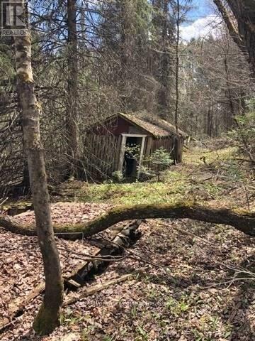 2595 Etwell Road, Huntsville, Ontario  P0B 1M0 - Photo 2 - X12521014