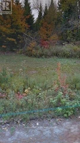 2595 Etwell Road, Huntsville, Ontario  P0B 1M0 - Photo 4 - X12521014