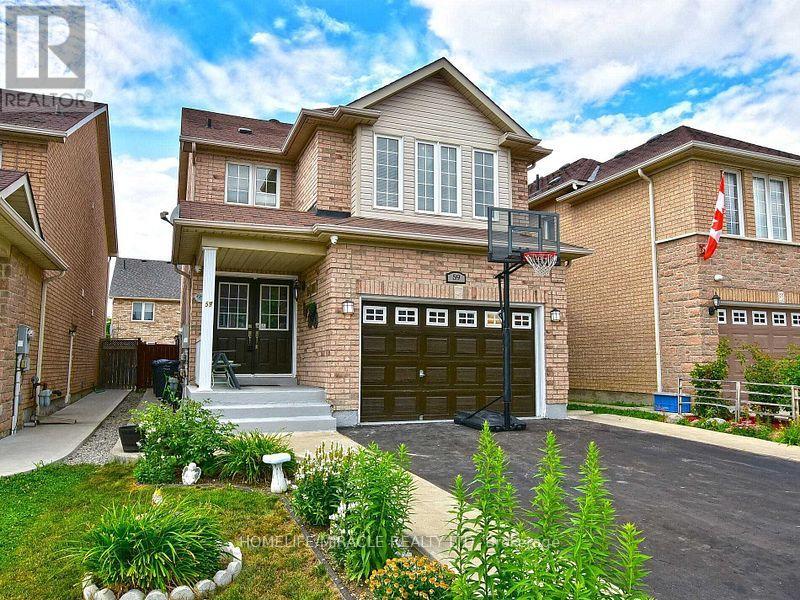 BASEMENT - 59 ROLLINGWOOD DRIVE, Brampton, Ontario