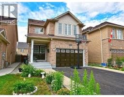 BASEMENT - 59 ROLLINGWOOD DRIVE, Brampton, Ontario