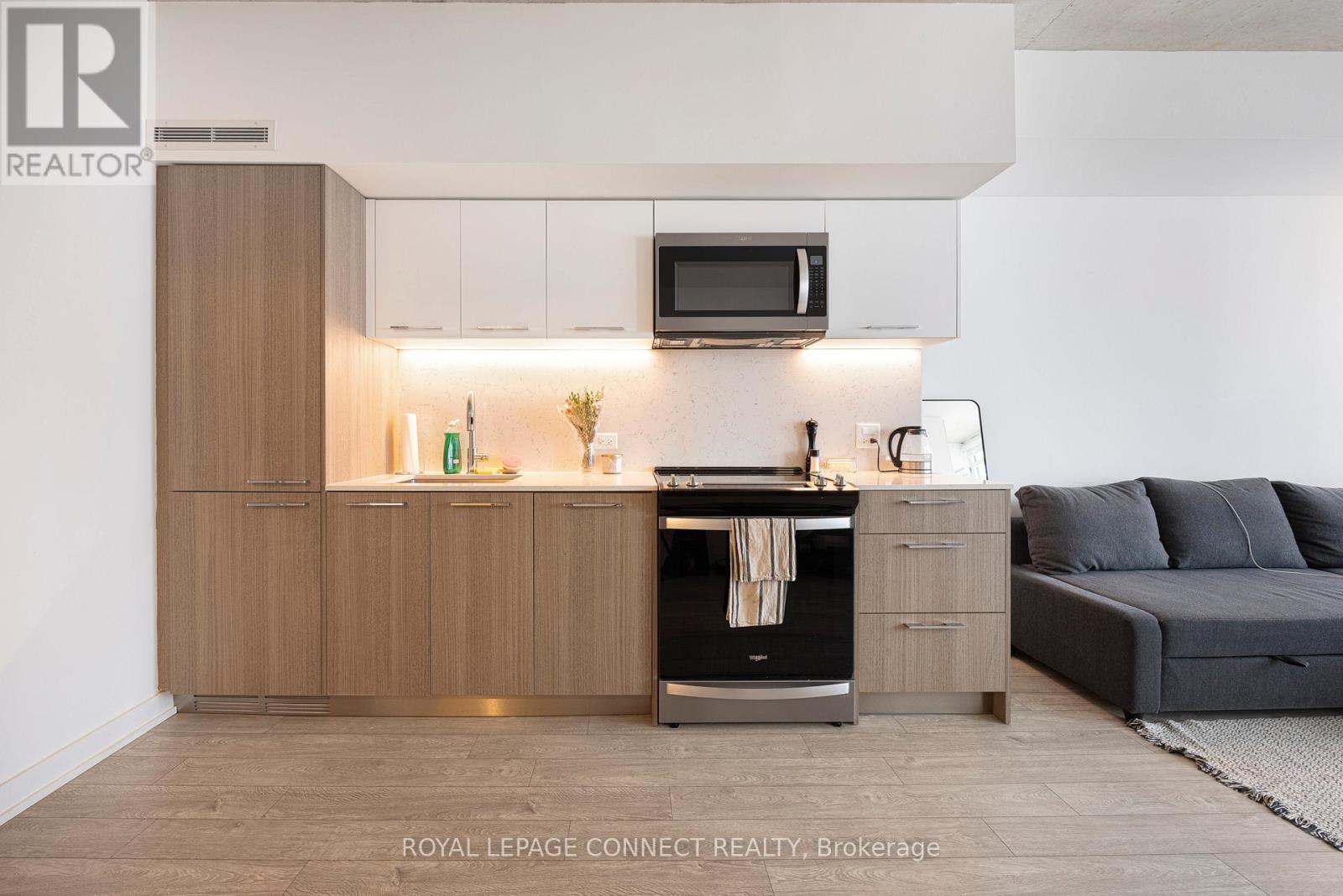 501 - 45 Baseball Place, Toronto, Ontario  M4M 0E8 - Photo 3 - E12520886