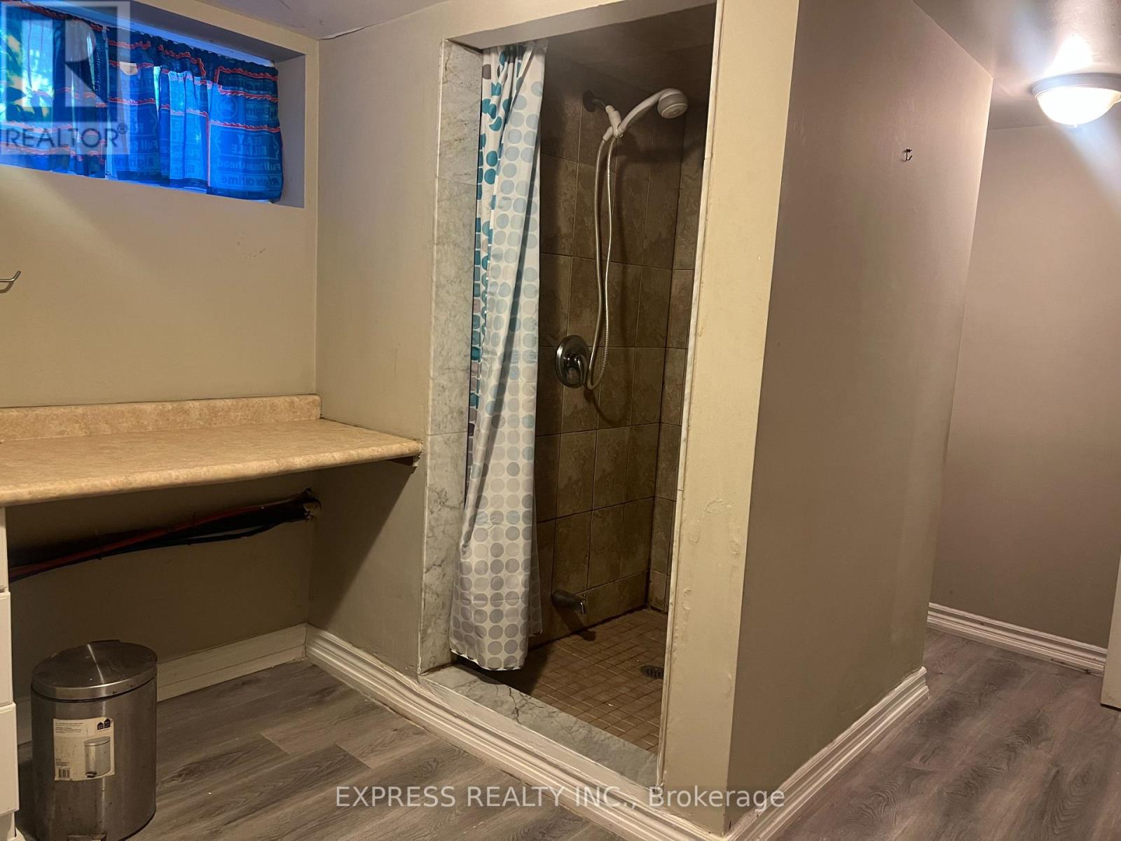 Bsmt - 80 Taunton Road W, Oshawa, Ontario  L1G 3T2 - Photo 5 - E12521128