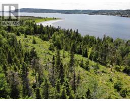 0 RANDOM BROOK Road, RANDOM ISLAND, Newfoundland & Labrador
