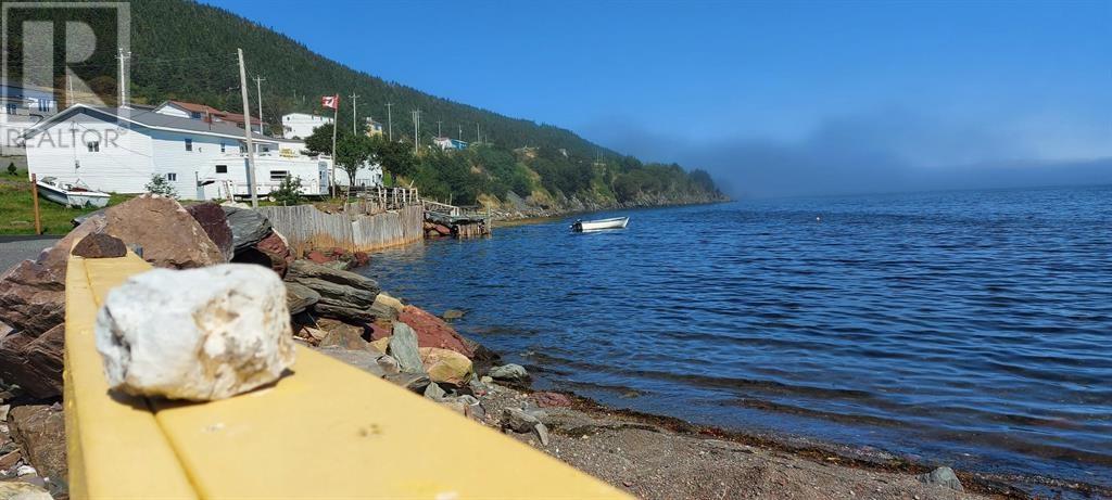 241 Main Road, Chapel Arm, Newfoundland & Labrador    - Photo 2 - 1292198