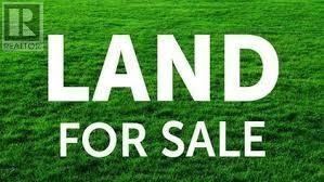 241 Main Road, Chapel Arm, Newfoundland & Labrador    - Photo 3 - 1292198