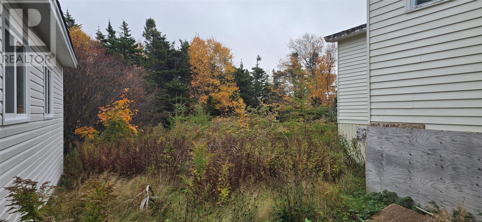 93 Branch Road, Winterland, Newfoundland & Labrador  A0E 2Y0 - Photo 4 - 1291931