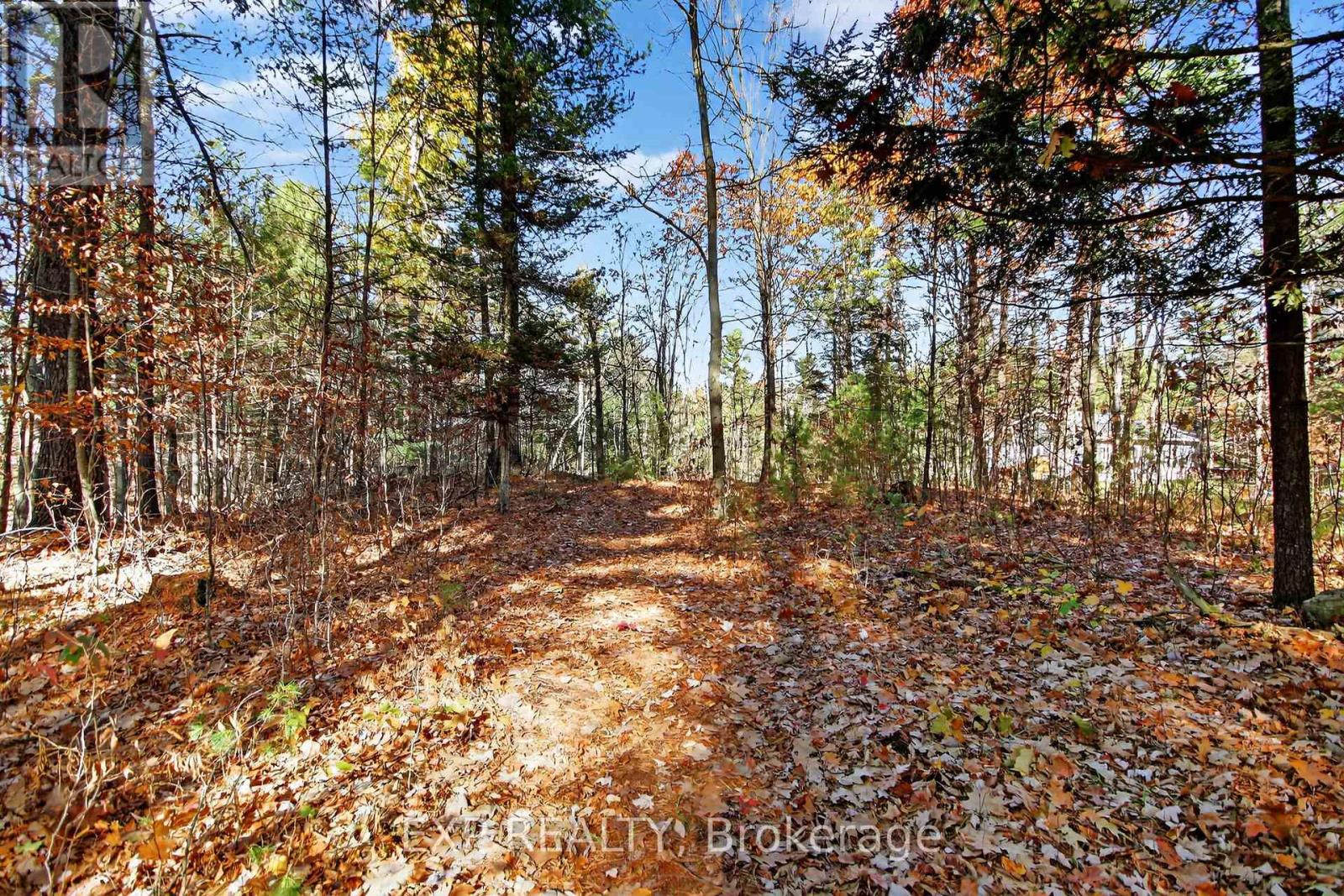 2989 Ramsay Concession 3c Road, Mississippi Mills, Ontario  K0A 1A0 - Photo 50 - X12521206