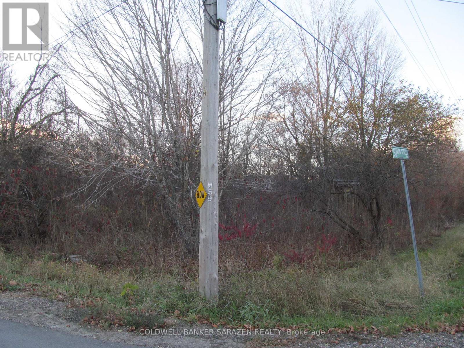 0 Fisher Street N, Mcnab/braeside, Ontario K0A 3L0 - Photo 2 - X12521308