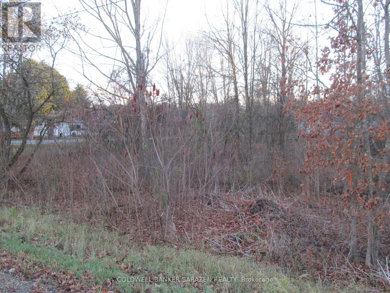 0 Fisher Street N, Mcnab/braeside, Ontario K0A 3L0 - Photo 3 - X12521308