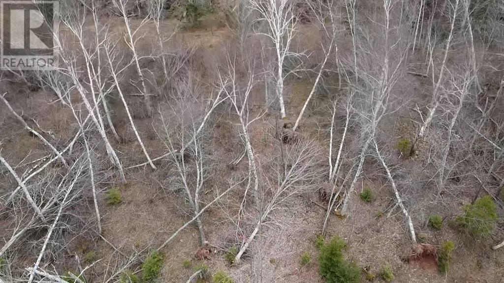 Acreage Peakes Road, Riverton, Prince Edward Island  C0A 1S0 - Photo 2 - 202527491