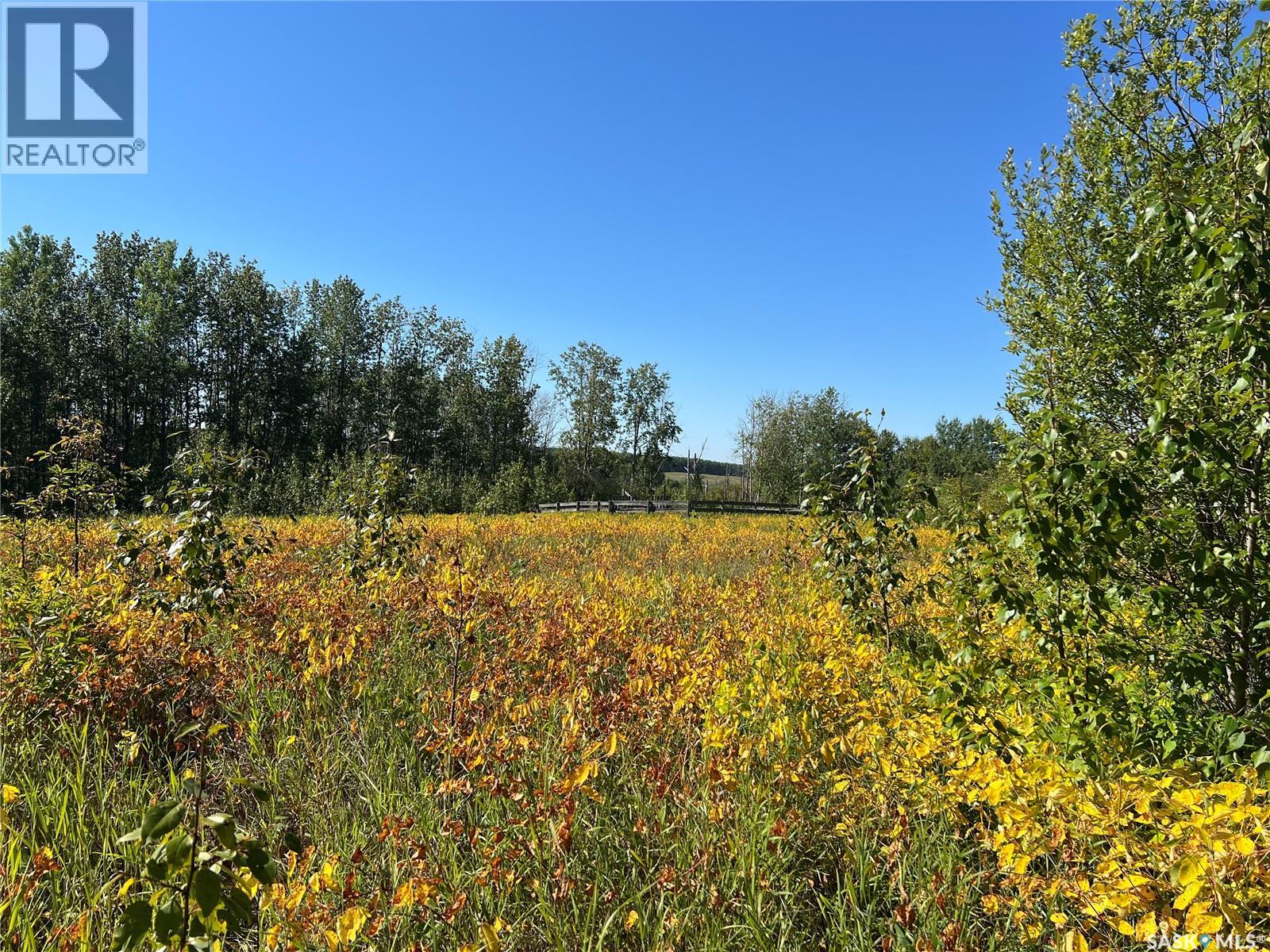 St Cyr Rd 159 Acres, Meadow Lake Rm No.588, Saskatchewan  S9X 1Y1 - Photo 7 - SK023655