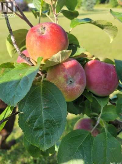 9km West Of Makwa, Loon Lake Rm No. 561, Saskatchewan  S0M 1L0 - Photo 48 - SK023653