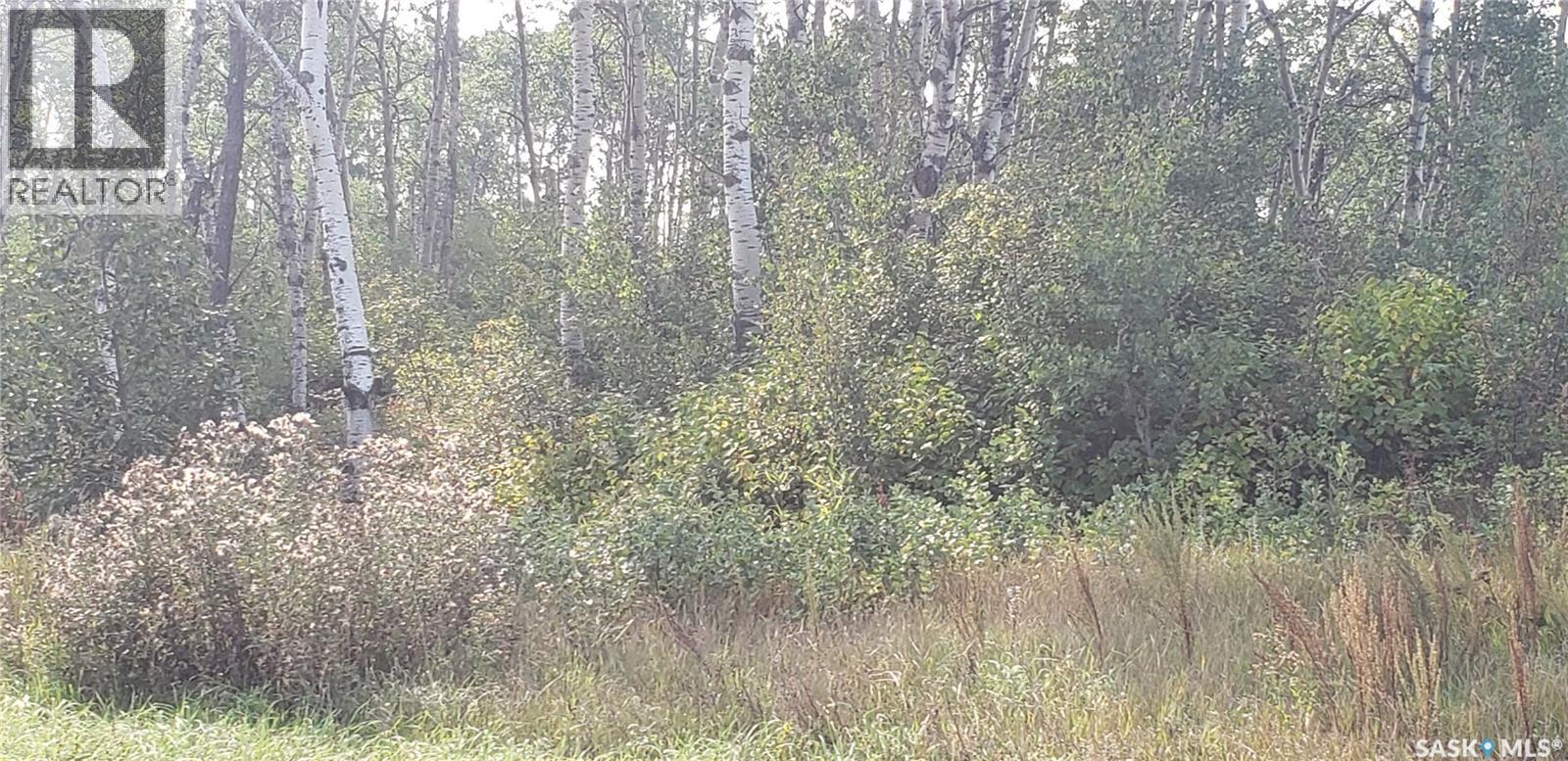 Lot 12 Whitetail Trail, duck lake rm no. 463, Saskatchewan