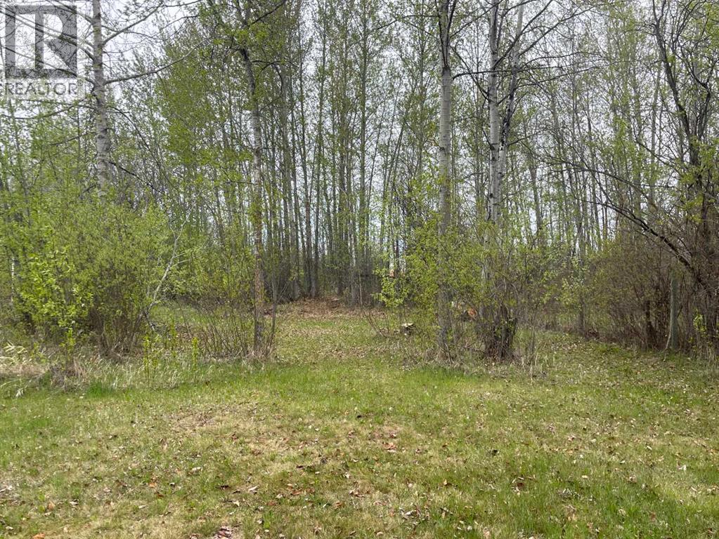 Lot 9 Block 3 Summerhaven, Rural Wetaskiwin No. 10, Alberta  T0C 1H0 - Photo 3 - A2228828