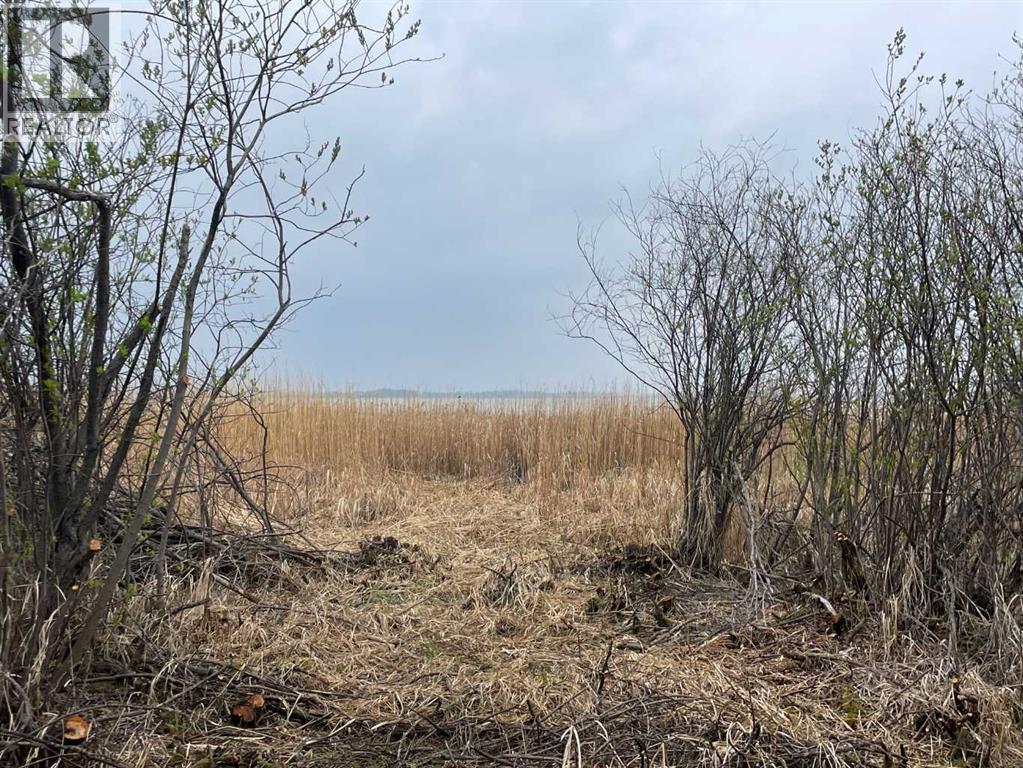 Lot 9 Block 3 Summerhaven, Rural Wetaskiwin No. 10, Alberta  T0C 1H0 - Photo 5 - A2228828