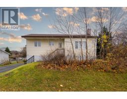 21 Halls Road, St. John's, Newfoundland & Labrador