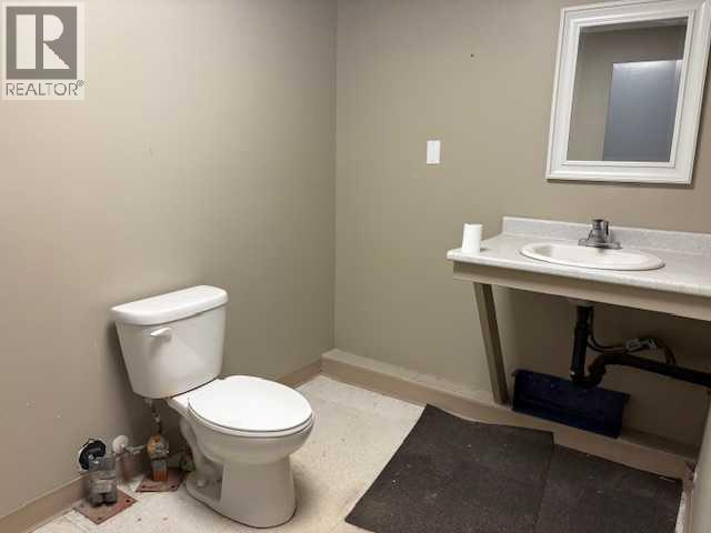 5048 50 Street, Sylvan Lake, Alberta  T4S 1P3 - Photo 8 - A2264853