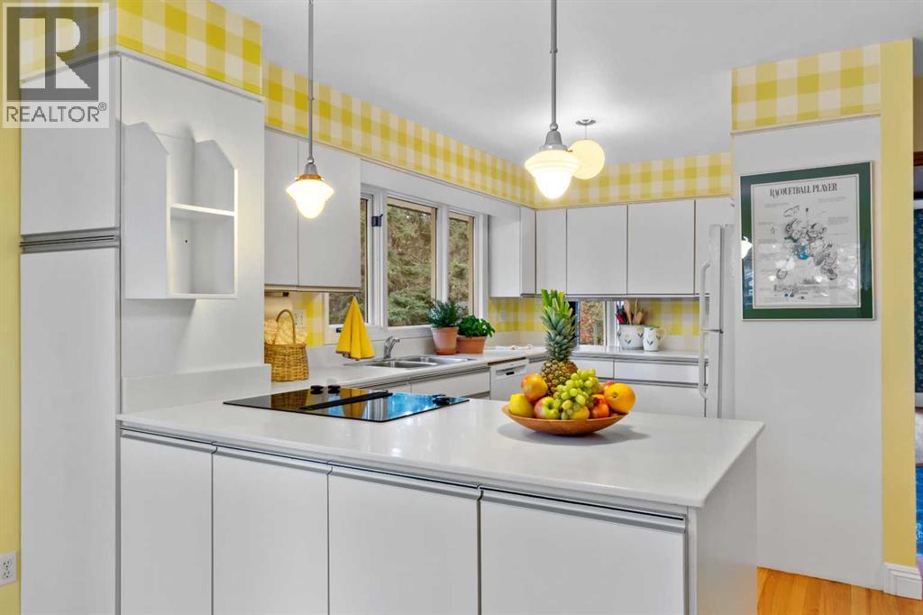 10 Sunnyside Crescent, Red Deer, Alberta  T4N 0E8 - Photo 11 - A2267634