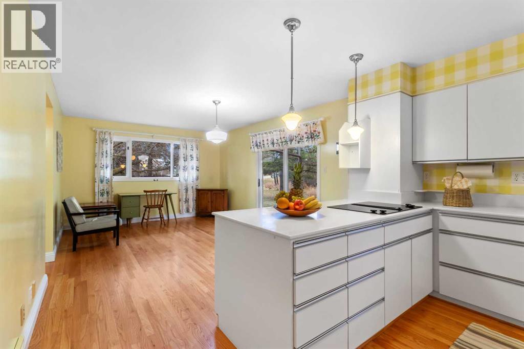 10 Sunnyside Crescent, Red Deer, Alberta  T4N 0E8 - Photo 12 - A2267634